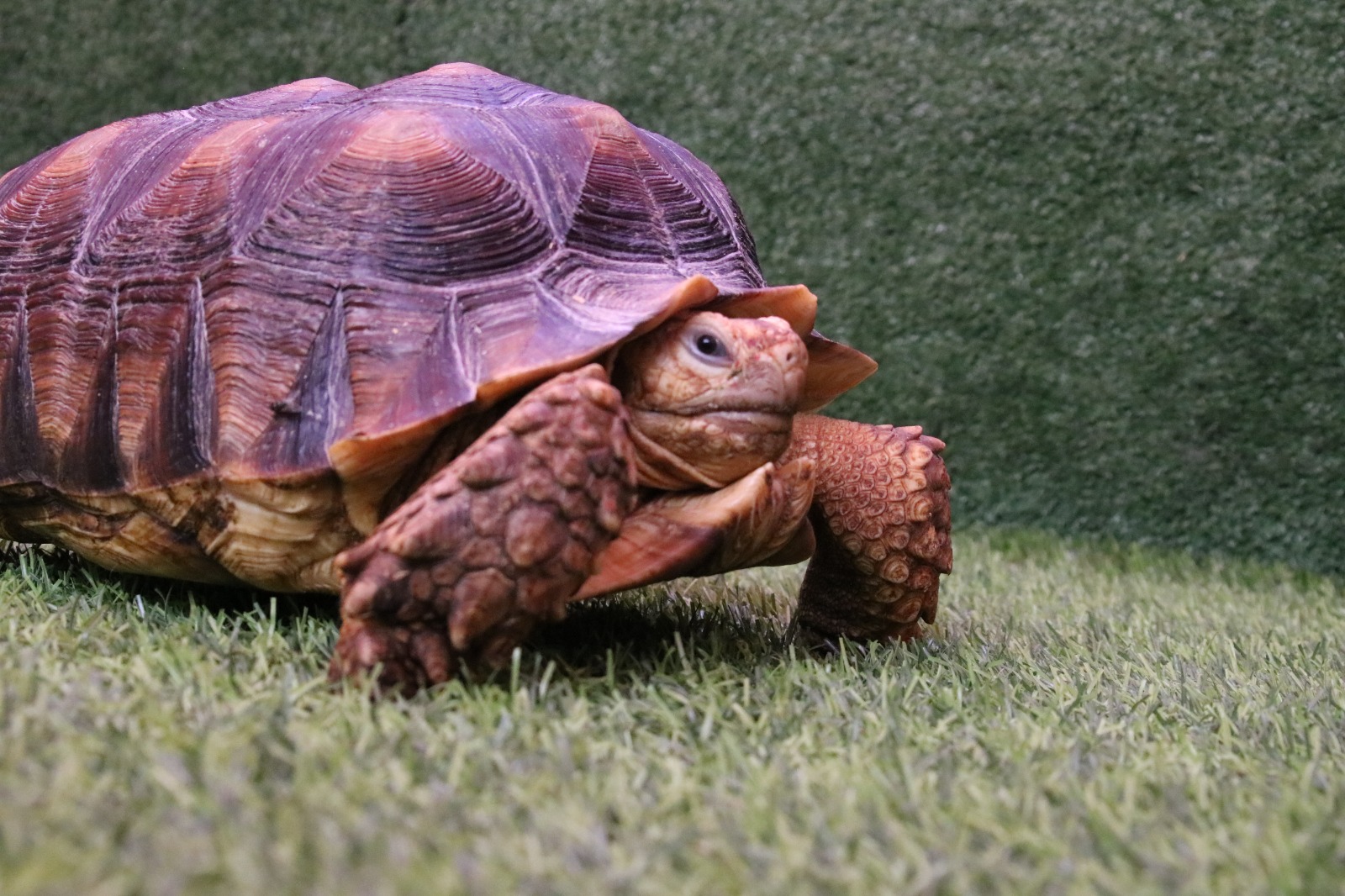 WhatsApp Image 2025-07-02 at 15.41.59_7841eba7